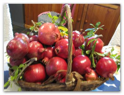 freshly picked pomegranates