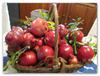 freshly picked pomegranates