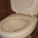 sitting toilet sitting toilet